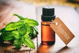 Benefits-of -mint-oil