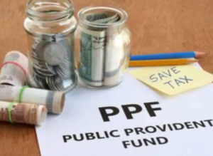 PPF Investment Rules