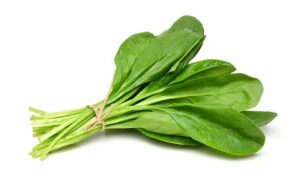 spinach